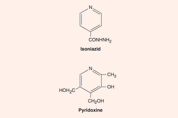 Cấu trúc hóa học của Isoniazid và vitamin B6