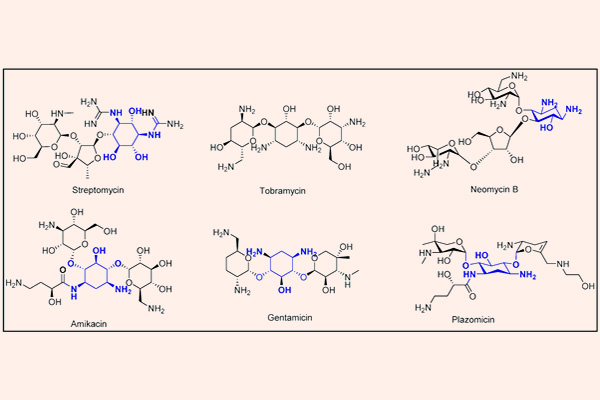 Cấu trúc hóa học của một số Aminoside