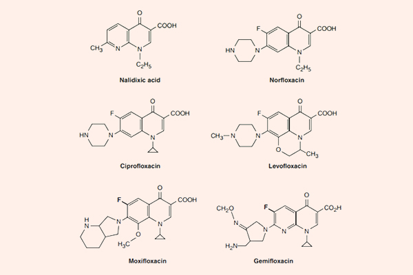 Cấu trúc hóa học một số Quinolone