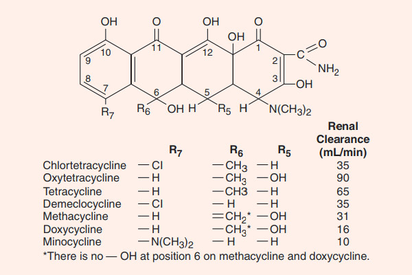 Cấu trúc hóa học của một số Tetracycline và thanh thải qua thận của chúng