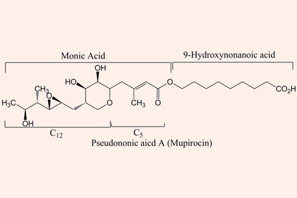 Cấu trúc hóa học của Mupirocin