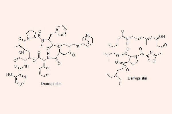 Cấu trúc hóa học của Quinupristin và Dalfopristin