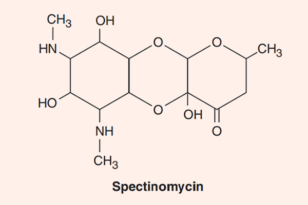 Cấu trúc hóa học của Spectinomycin