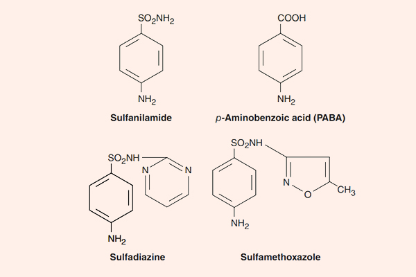 Cấu trúc hóa học của một số Sulfamide và PABA