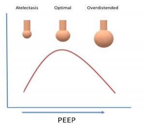 PEEP và đàn hồi của phổi