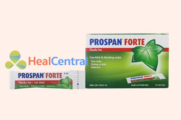 Thuốc ho Prospan Fort 21 gói x 5ml