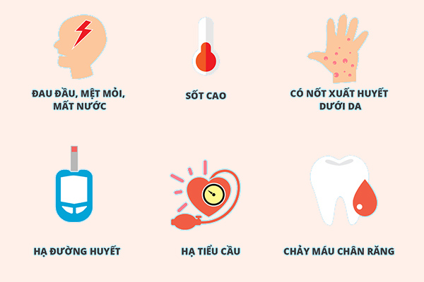 Triệu chứng của sốt xuất huyết