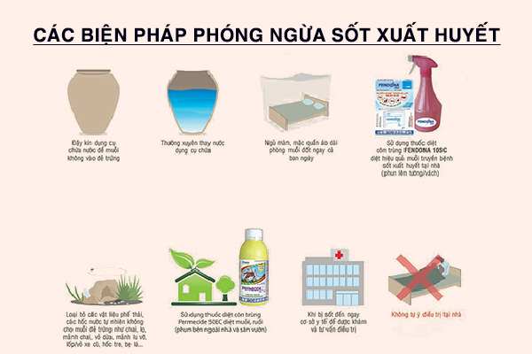 Phòng bệnh sốt xuất huyết