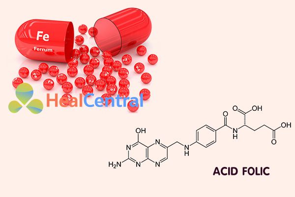 Tardyferon B9 cung cấp sắt và acid folic cho cơ thể