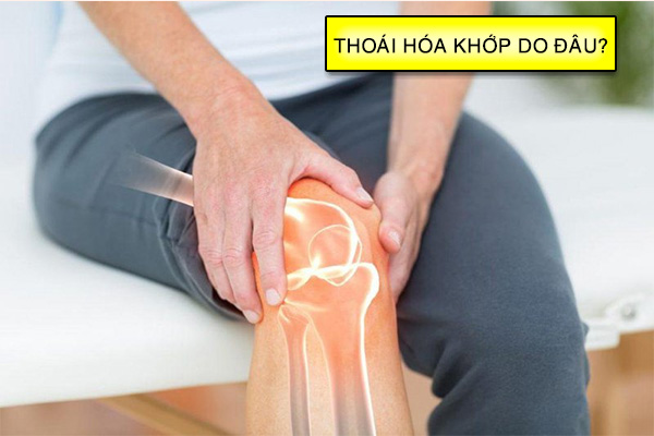 Nguyên nhân dẫn đến thoái hóa khớp