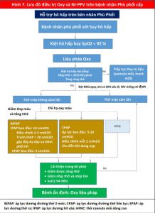 Hình 7. Lưu đồ điều trị Oxy và NI-PPV trên bệnh nhân Phù phổi cấp