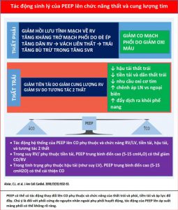 Tác động sinh lý của PEEP lên chức năng thất và cung lượng tim