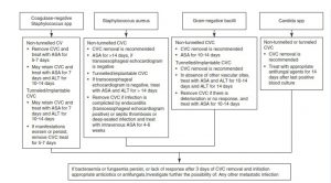 Hình 8.2 Management of catheter-related bloodstream infections. ALT, antibiotic-lock therapy; ASA, appropriate systemic antibiotics; CRBSI, catheter- related bloodstream infection; CVC, central venous catheter