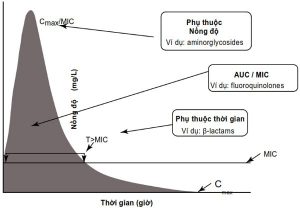 Fig. 2.1 Nguyên lý dược động học và dược lực học