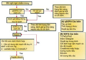 Hình 3.1 Xác định bệnh nhân nhiễm trùng huyết và sốc nhiễm trùng.