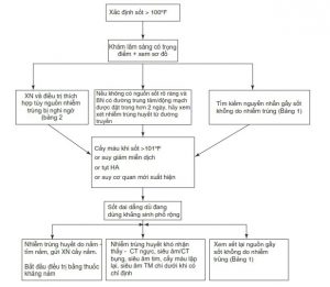 Sơ đồ. 5.1 Tiếp cận sốt mới khởi phát tại ICU