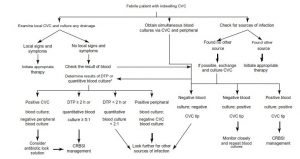 Hình 8.1 Diagnosis of acute febrile episode in a patient with a central venous catheter. CVC central venous catheter, DTP differential time to positivity