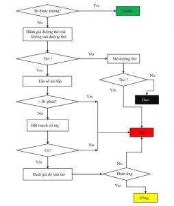 Hình 1: Phân loại bệnh nhân START (simple triage and rapid treatment)