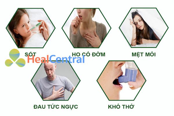 Triệu chứng viêm phế quản cấp.