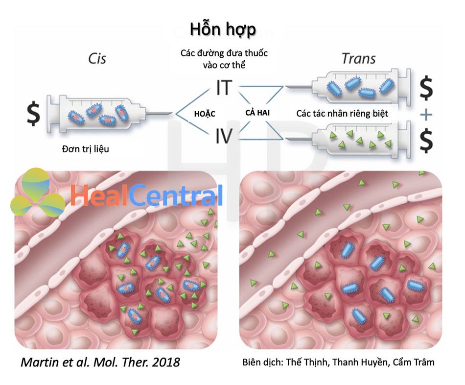 Hỗn hợp cis hoặc trans: Ưu điểm và hạn chế