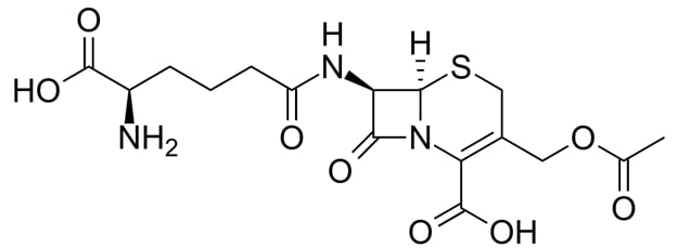Cấu trúc hóa học tổng quát của các kháng sinh nhóm Cephalosporin