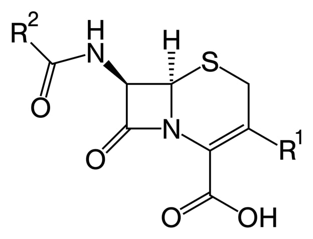 Cấu trúc hóa học của Cephalosporin C