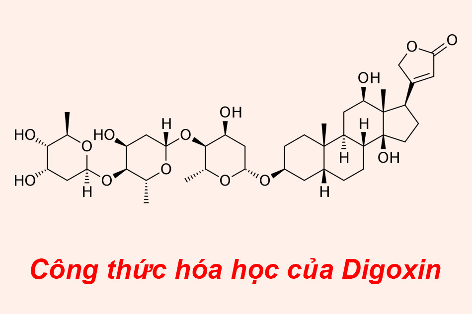 Công thức hóa học của Digoxin