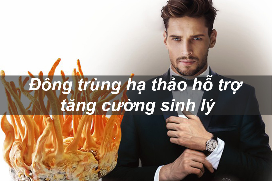 Đông trùng hạ thảo - Cải thiện sinh lý nam giới