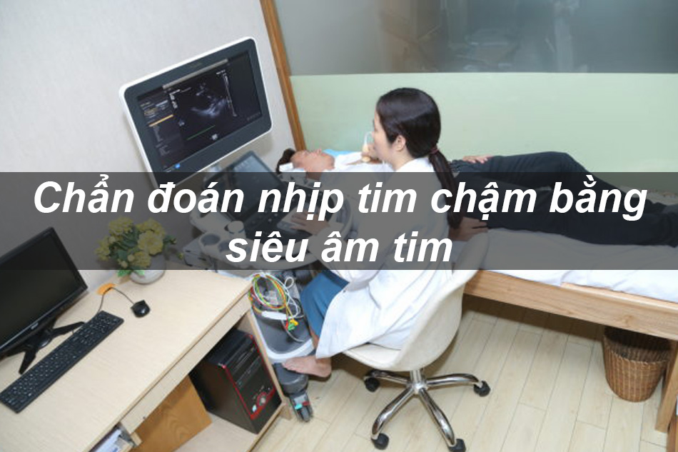 Siêu âm tim chẩn đoán nhịp tim chậm