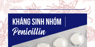 Nhóm thuốc Penicillin