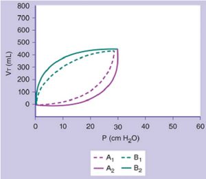 HÌNH 1-1 Vòng lặp áp lực-thể tích (độ giãn nở) cho thấy hiện tượng phình lên (từ đường chấm đến đường liền nét) cho thấy sự gia tăng sức cản của dòng khí do sự hiện diện của lưu lượng hít vào quá mức hoặc tăng sức cản đường thở ra. Việc phình lên từ A1 đến A2 có thể là do lưu lượng quá nhiều trong khi hít vào, và vì thở ra là thụ động nên phình lên từ B1 đến B2 có thể do tắc nghẽn lưu lượng thở ra. VT: thể tích khí lưu thông, P: áp lực