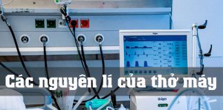 Các nguyên lí của thở máy