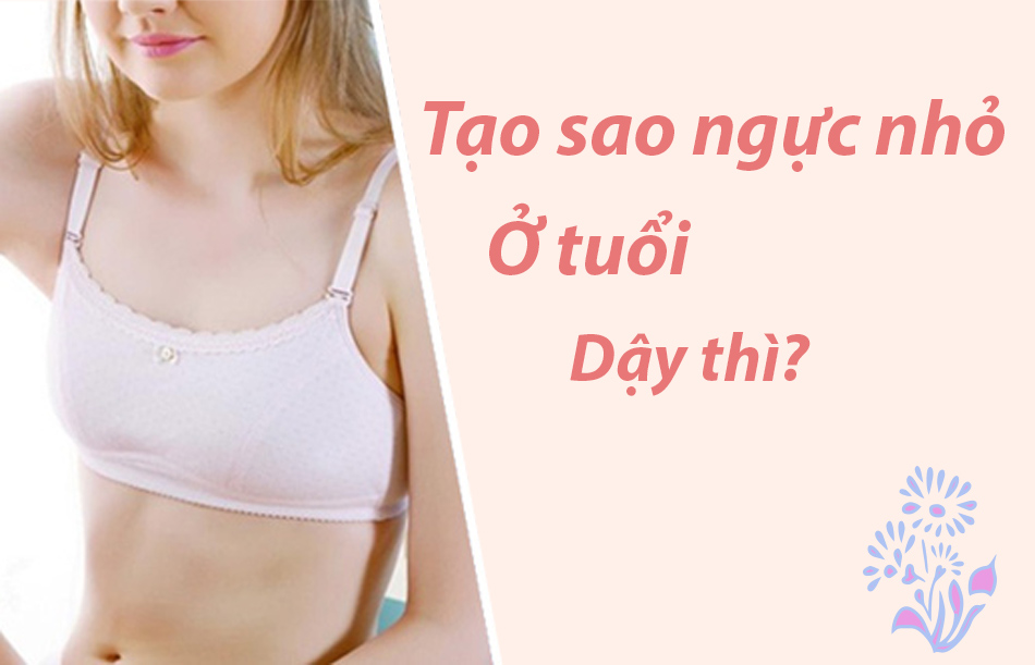 Tại sao vòng một lại nhỏ ở tuổi dậy thì?