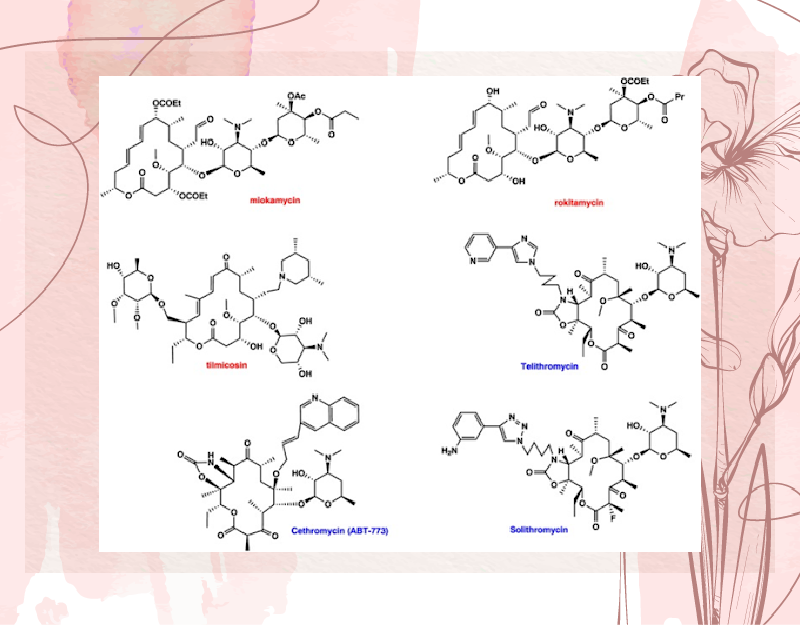 Ảnh. Cấu trúc hóa học của một số kháng sinh nhóm Macrolide (tiếp)