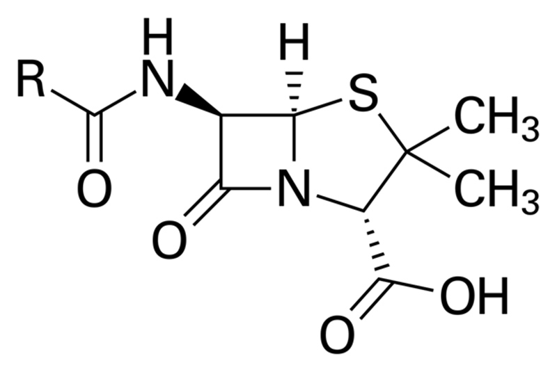 Ảnh. Cấu trúc hóa học tổng quản của các kháng sinh nhóm Penicillin.