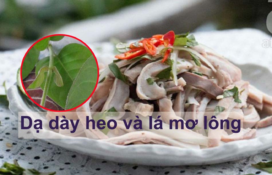 Lá mơ lông và dạy dày heo