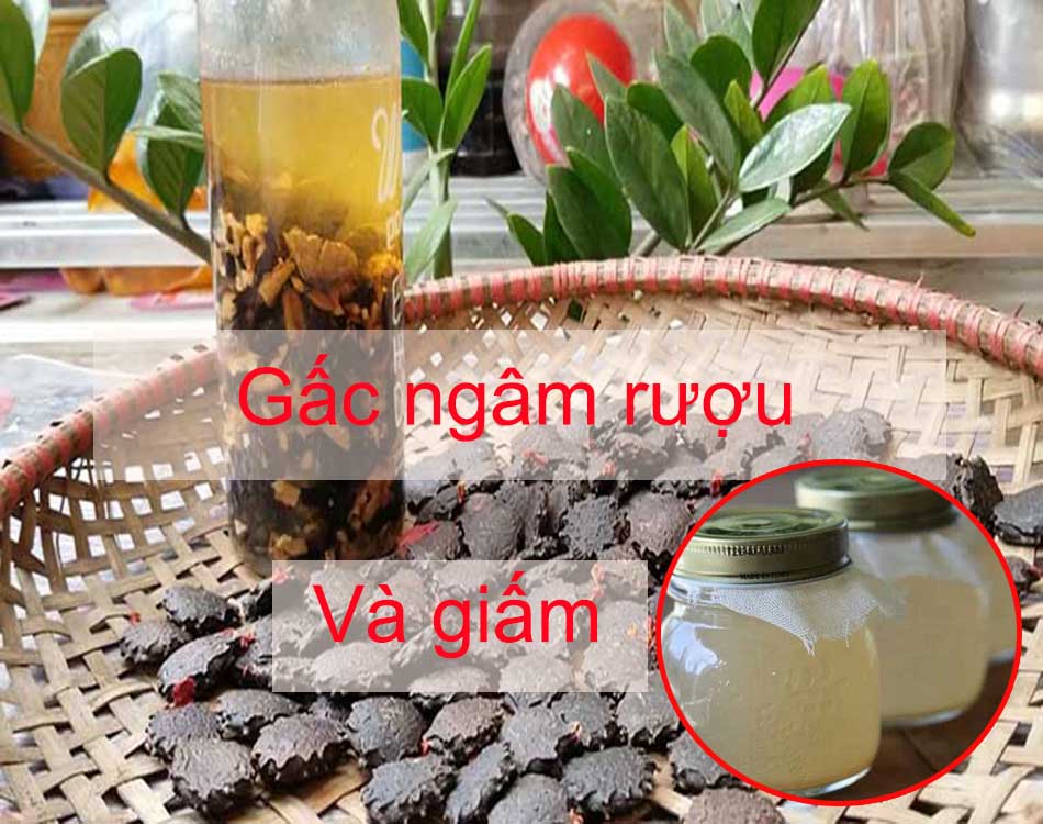 Gấc ngâm rượu và giấm