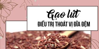 Gạo lứt trong điều trị thoát vị đĩa đệm