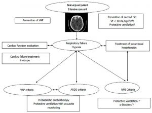 Hình 2 Phương pháp tiếp cận thuật toán cho rối loạn chức năng phổi ở bệnh nhân chấn thương não. ARDS: Hội chứng suy hô hấp cấp tính; VAP: Viêm phổi liên quan đến máy thở; Vt: Thể tích khí lưu thông; PBW: Trọng lượng cơ thể dự đoán; NPE: Phù phổi thần kinh.
