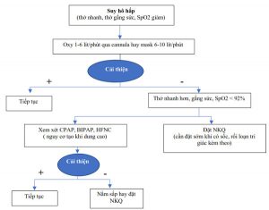 Lưu đồ xử trí suy hô hấp