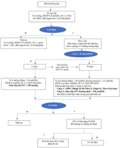 Lưu đồ xử trí thở máy do COVOD-19