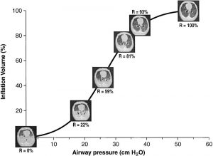Hình 7. Huy động trong một kiểu ARDS thử nghiệm (axit oleic ở chó), tùy thuộc áp lực đường thở được áp dụng.