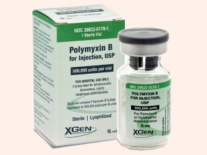 Thuốc kháng sinh Polymyxin B