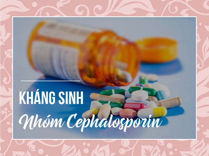 Kháng sinh nhóm Cephalosporin: Tác dụng, chỉ định, lưu ý tác dụng phụ