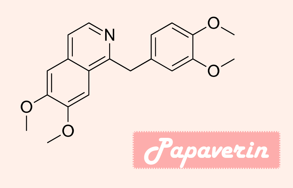 Chống chỉ định dùng lá đu đủ trị đau dạ dày đối với phụ nữ đang mang thai vì tác dụng của Papaverin có thể làm tăng nguy cơ sảy thai.