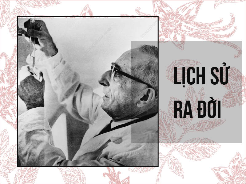 Lịch sử ra đời kháng sinh nhóm Cephalosporin