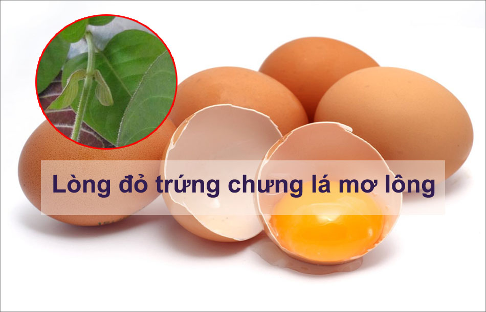 Lòng đỏ trứng chưng lá mơ lông