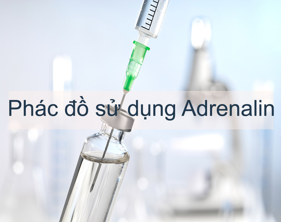 Phác đồ sử dụng Adrenalin