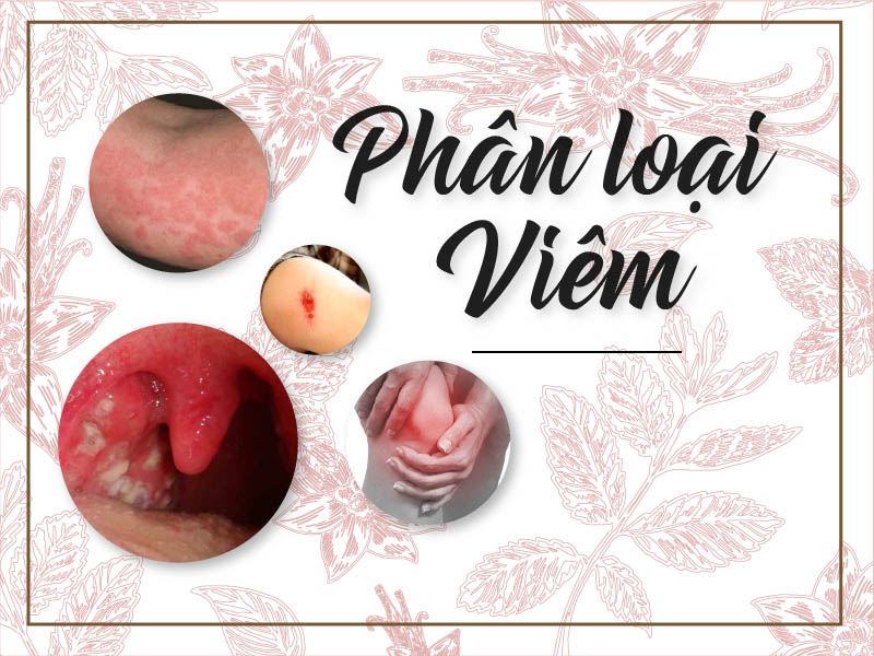 Phân loại viêm