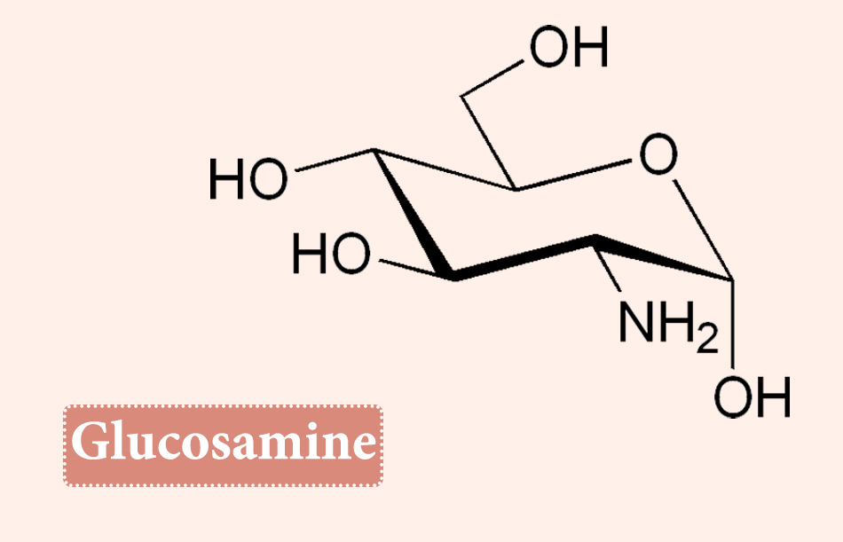 Công thức hóa học của Glucosamine